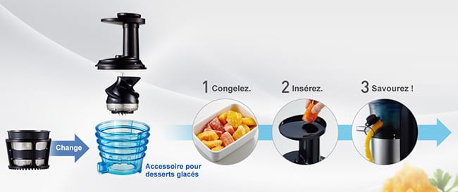 sorbets Panasonic MJ-L500SXE